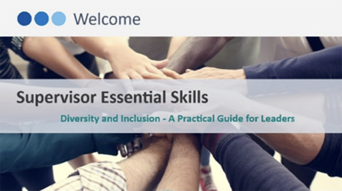 Diversity and Inclusion - A Practical Guide for Leaders